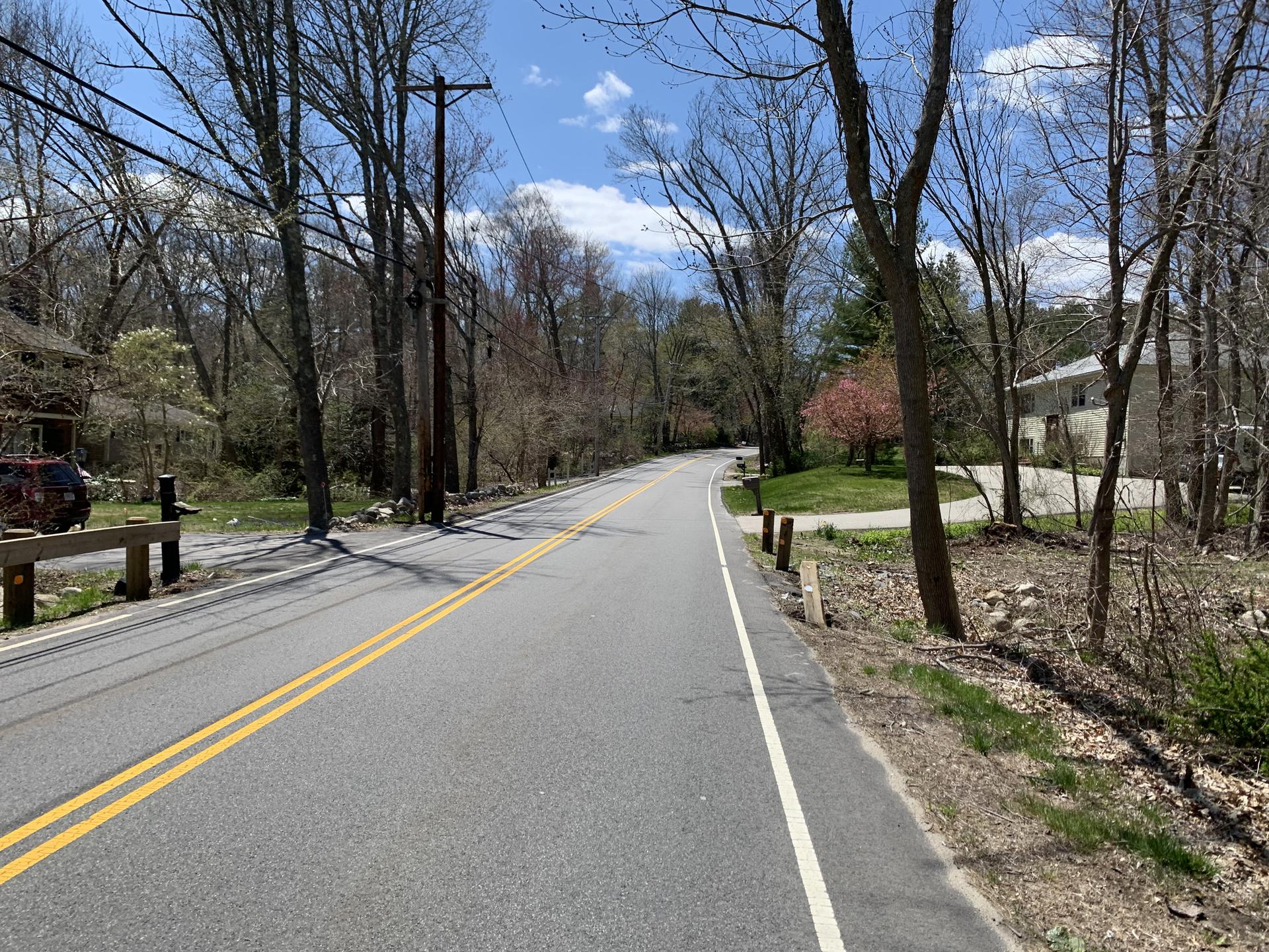 Paved road winding through a wooded residential area on a sunny day.