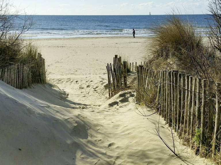 Lunel La grande Motte Plage du Grand Travers Circuit à partir de