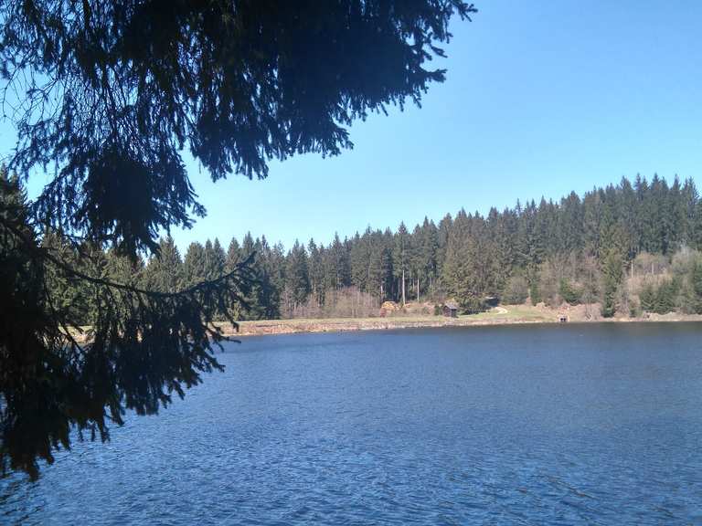 Prinzenteich: Wanderungen und Rundwege  komoot