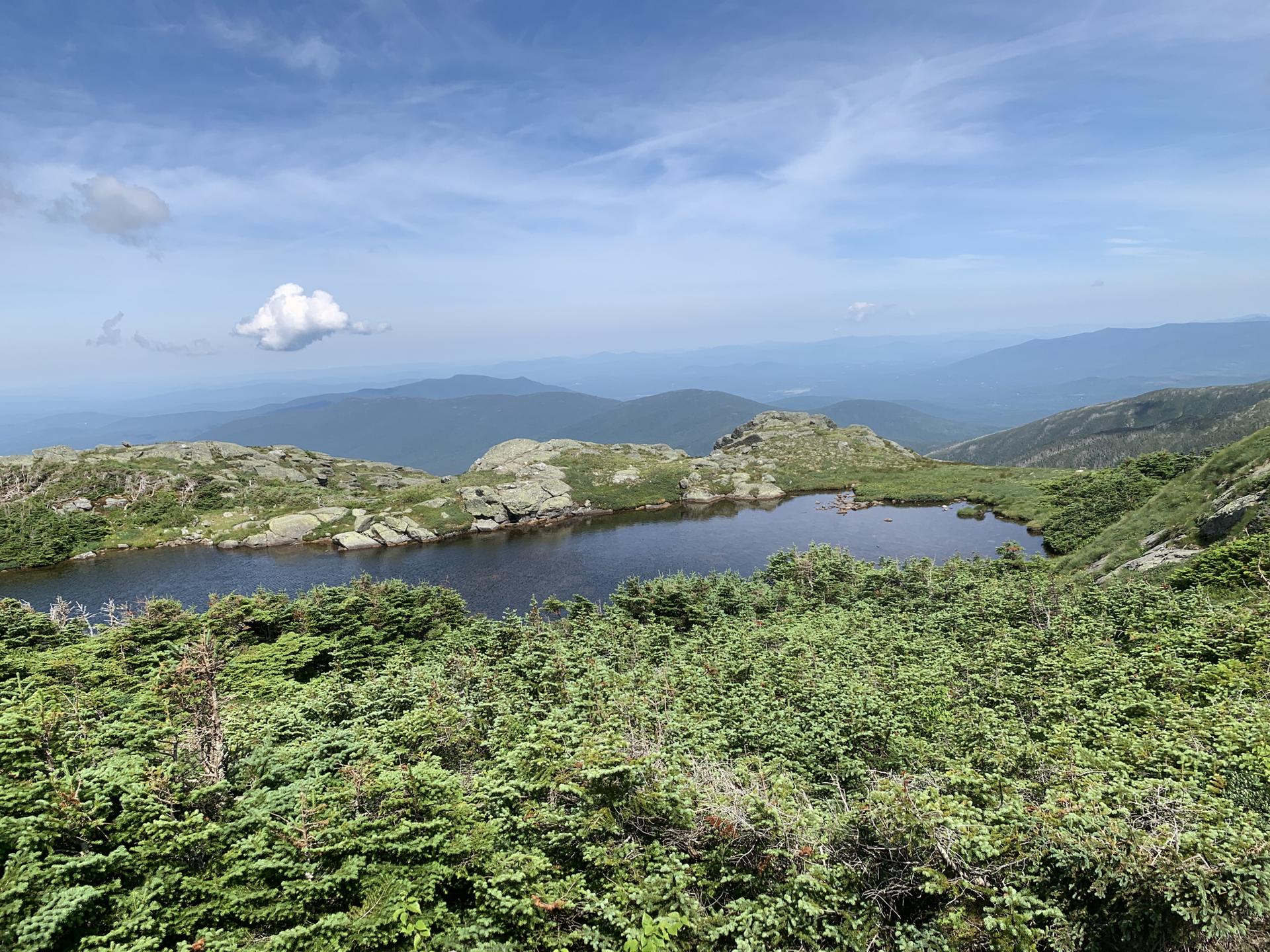 Serene mountain lake surrounded by lush green shrubs under a bright blue sky.