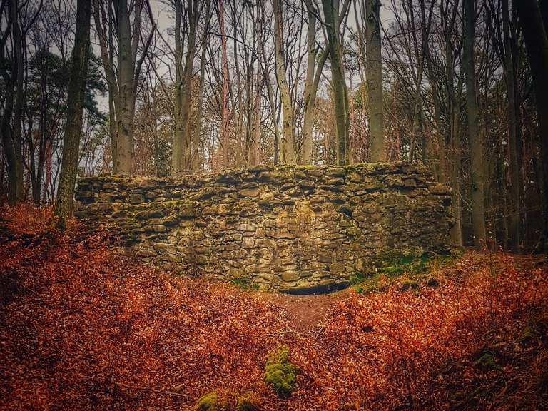 Ruine Altschauerberg Wanderungen und Rundwege komoot