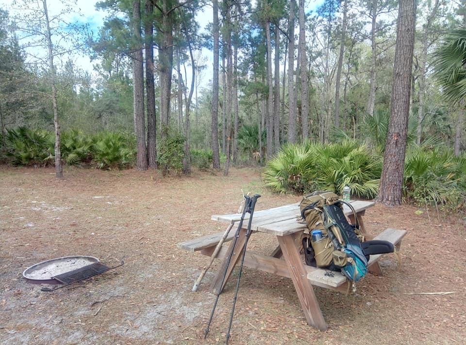A backpack and trekking poles rest on a picnic table in a sunny forest clearing.