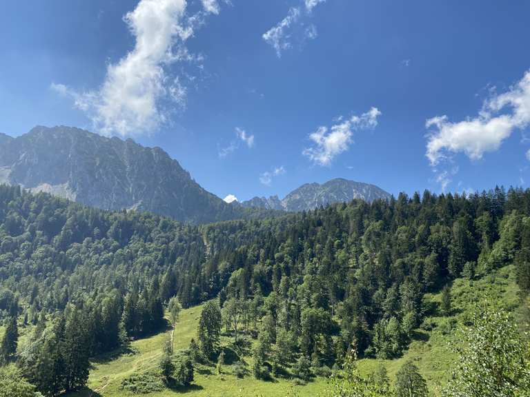 singletrail zwiesel