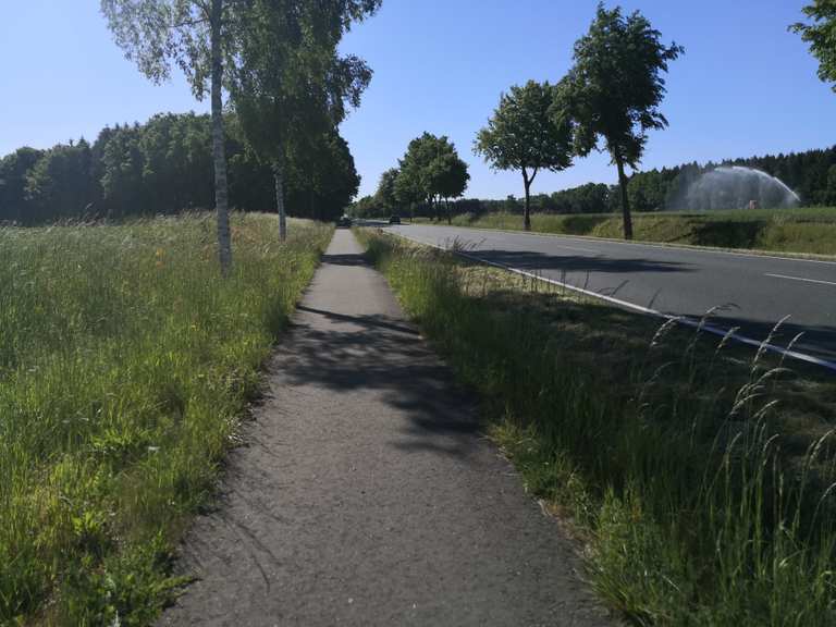 Super Rennradstraße! – Truppenübungsplatz Munster Runde von Meinholz