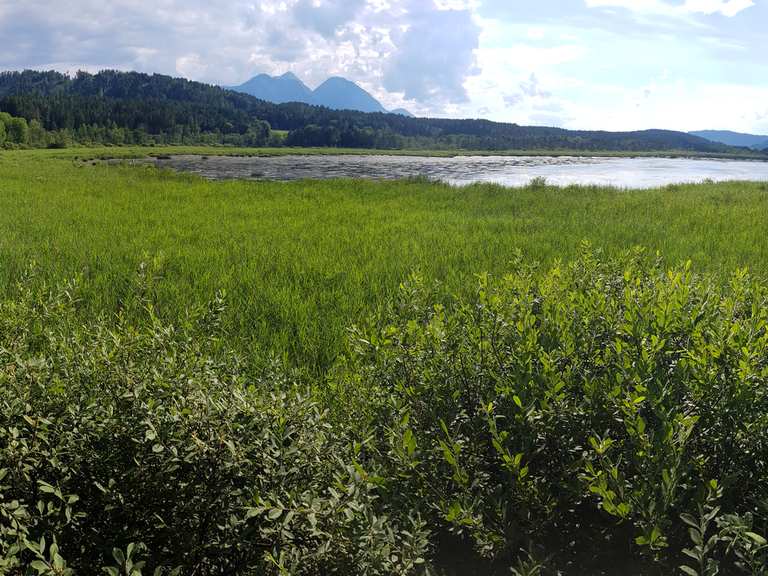 Aussichtsturm Sablatnigmoor Routes for Walking and Hiking Komoot