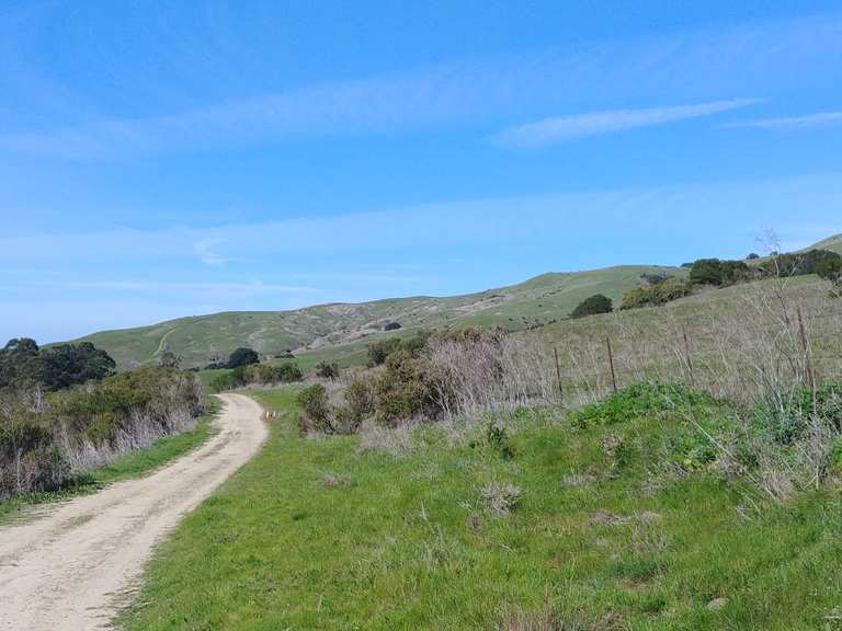 Tilden and Wildcat Loop Wildcat Canyon Regional Park giro in MTB