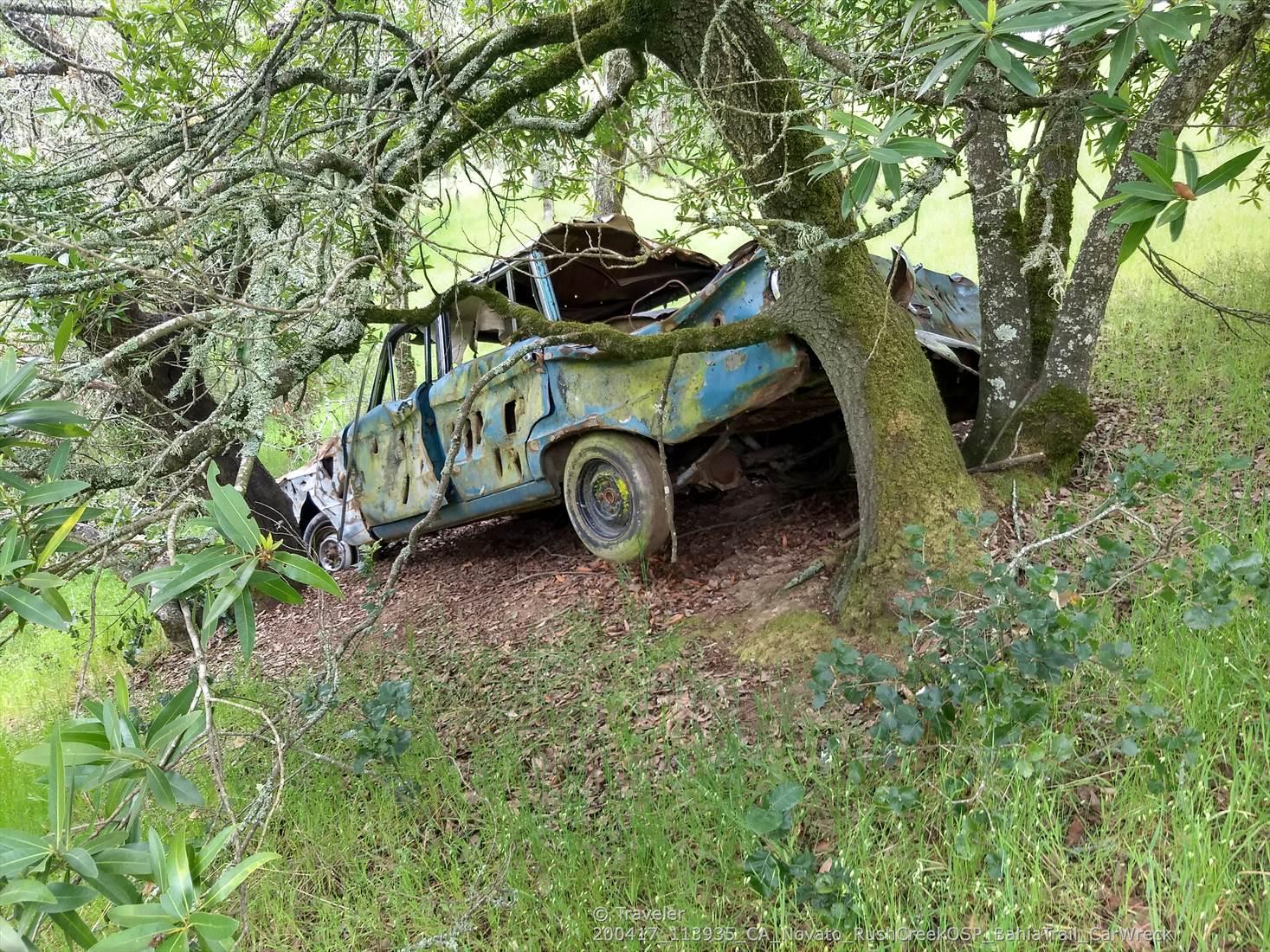 A rusted, old car wreck overgrown with moss, nestled under trees.