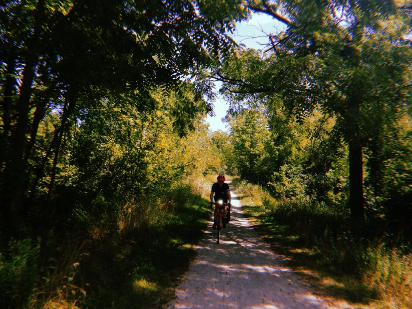 Person cycling on a sunny dirt path through a dense green forest.