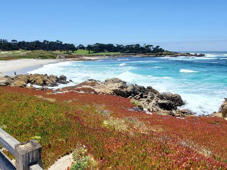 17-Mile Drive loop | ride | Komoot