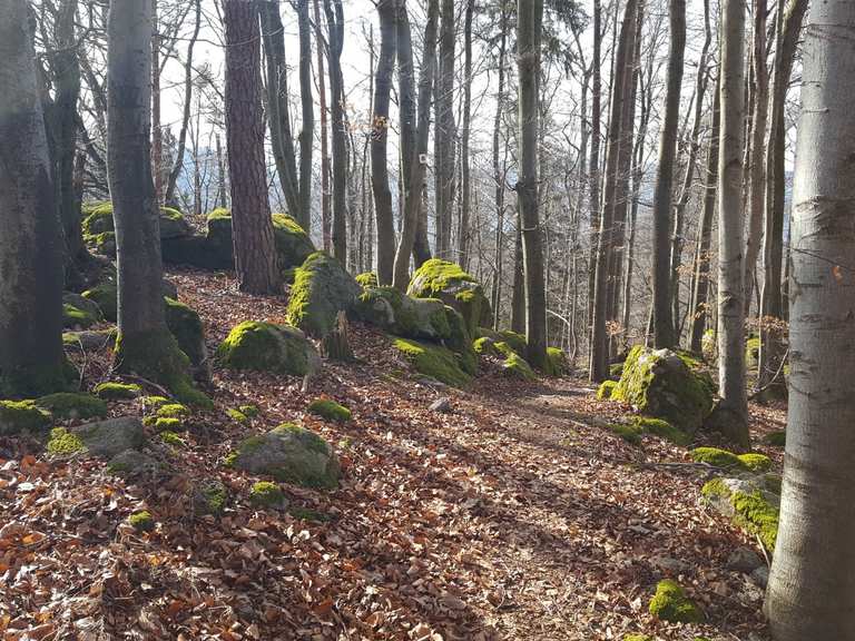 Berg- und Talweg: Wanderungen und Rundwege | komoot
