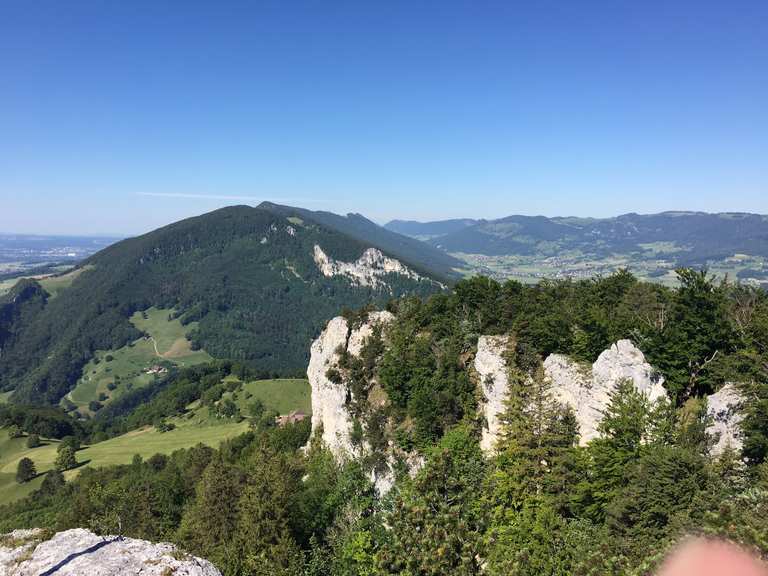 Roggenflue Wanderungen und Rundwege komoot