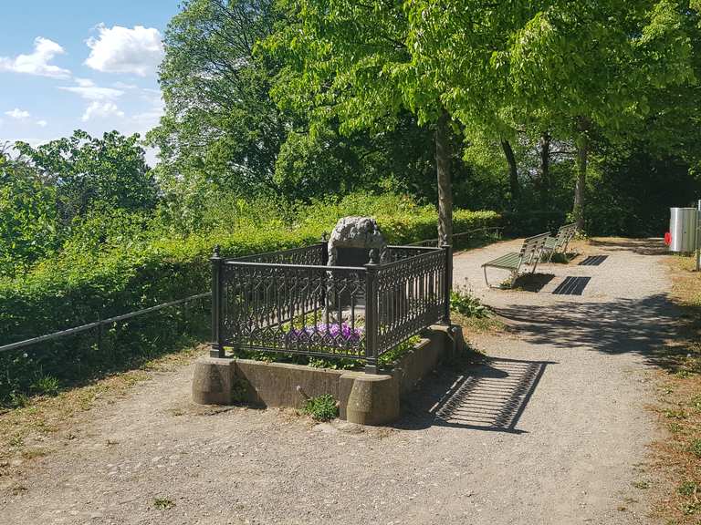 Büchner Denkmal Wanderungen und Rundwege komoot