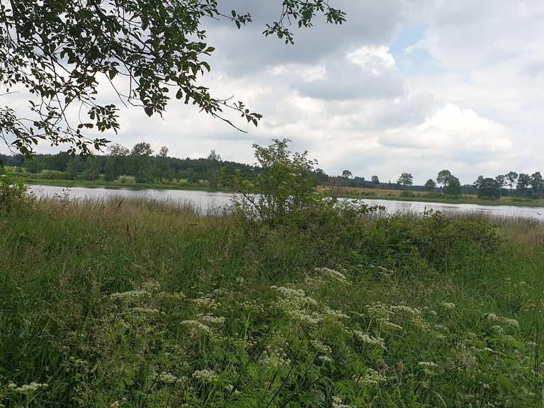 OberMooser Teich Wanderungen und Rundwege komoot