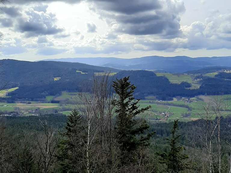 Plattenstein Wanderungen und Rundwege komoot