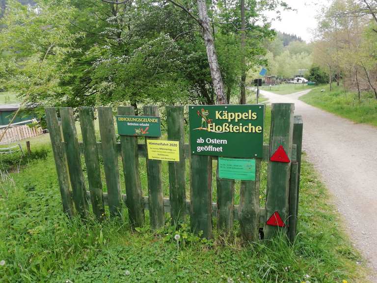 Käppels Teiche MTBroutes en trails Komoot
