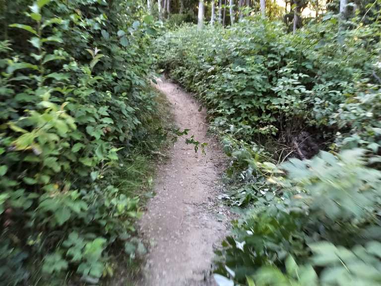 RoanTrail Mountain Bike Trails & Tracks Komoot