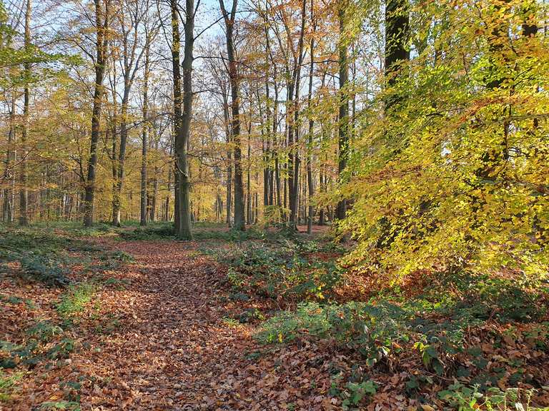 Waldruhestätte Meerbusch Routes for Walking and Hiking | Komoot