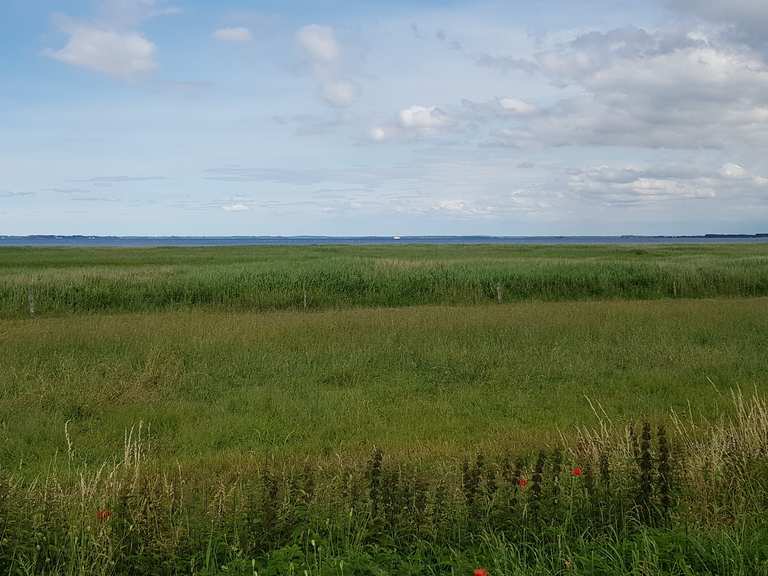 Sandstrand Barhöft Barhöft Hafen Runde von Klausdorf Fahrradtour