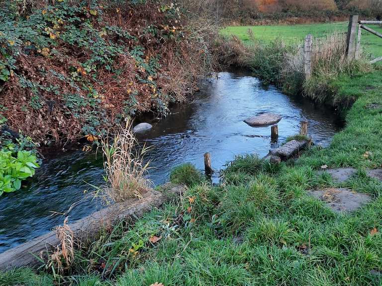 Arnumer See hinter Wilkenburg Großer Hemminger Teich Runde von