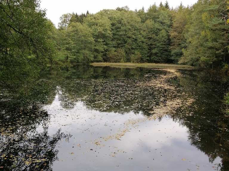 Schwarzer Teich MountainbikeTouren und Trails komoot
