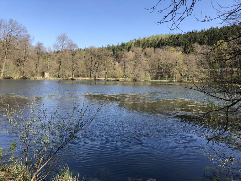 Reinhardsbrunner Teiche Mountain Bike Trails & Tracks Komoot