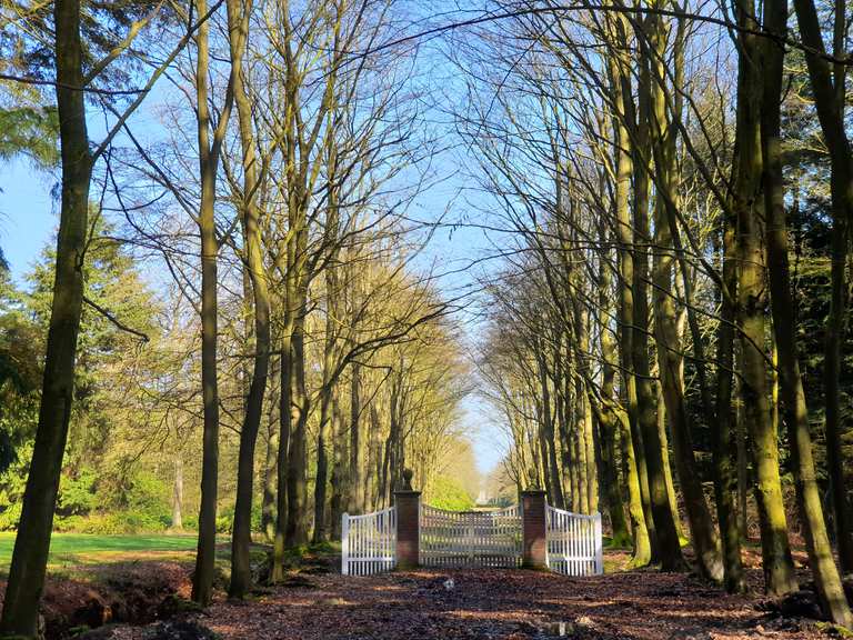 Schattige Waldwege Wunderschöne Aussicht Runde von