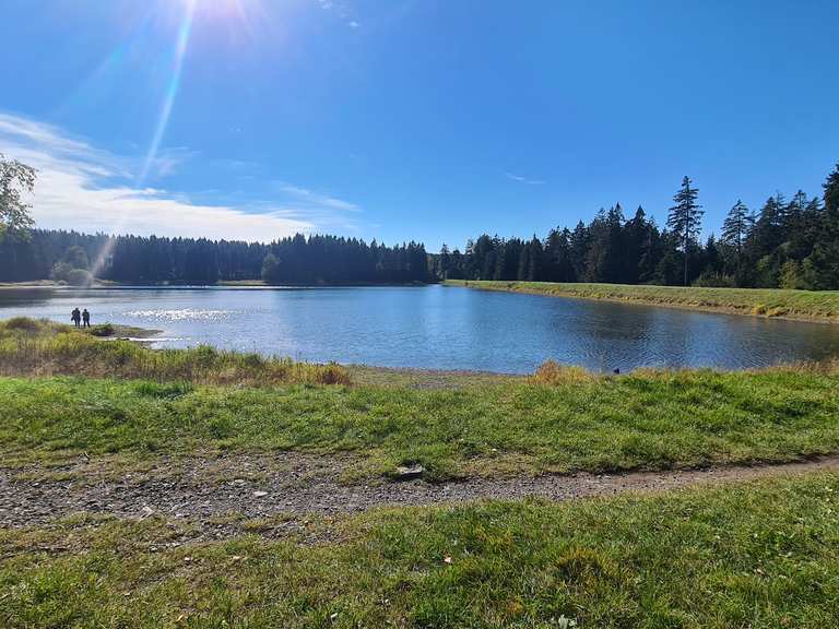 KiefhölzerTeich MountainbikeTouren und Trails komoot
