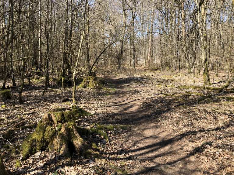 singletrails erlangen