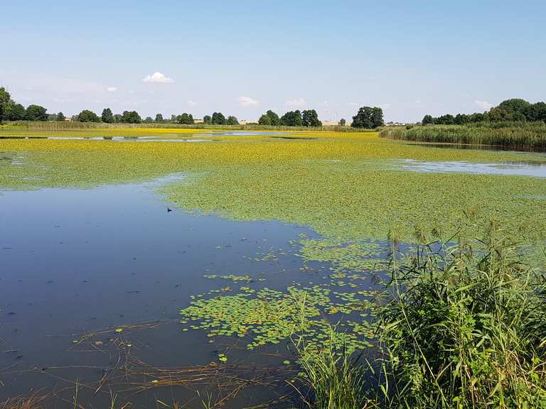 Blumberger Fischteiche Radtouren und Radwege komoot