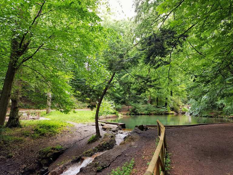 Parkanlage HolsteTeich Routes for Walking and Hiking Komoot