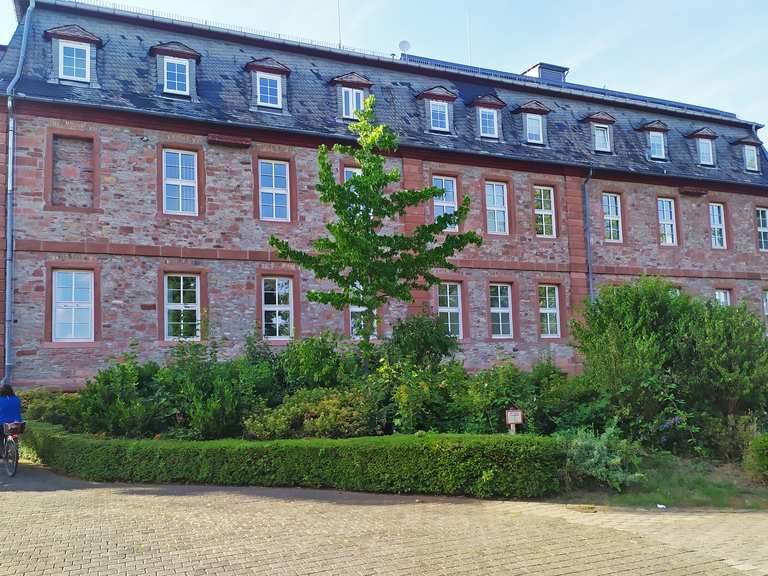 Schlosspark Langenselbold : Radtouren und Radwege | komoot