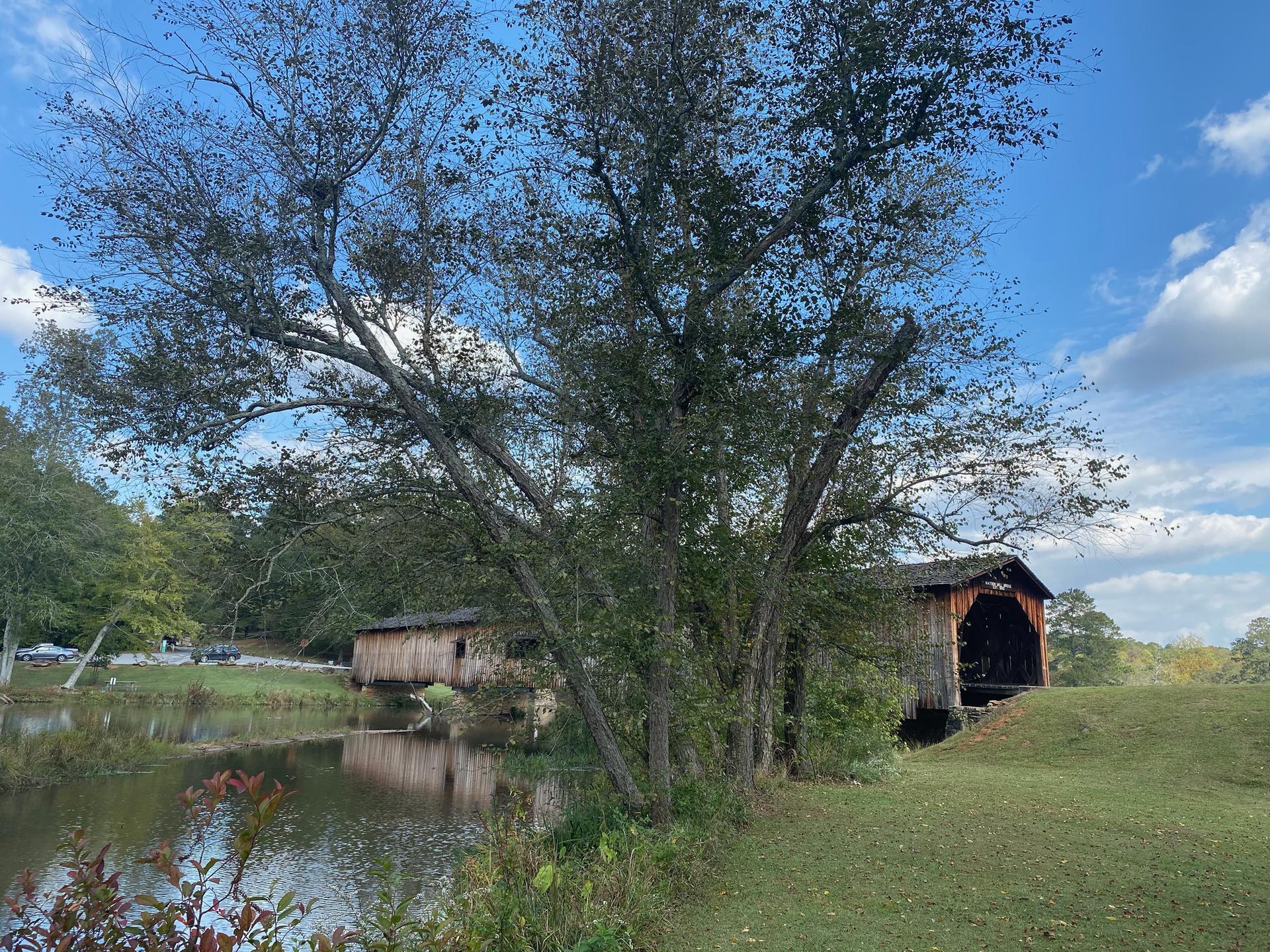 Sunny view of a covered bridge over a pond, framed by a large tree.