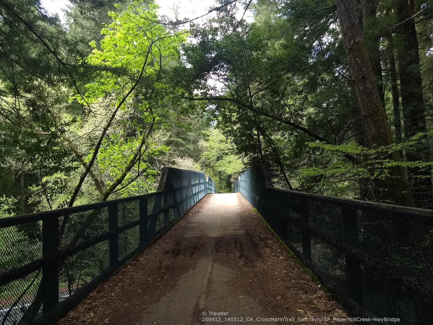 A long, dark bridge extending through a dense, green, sunlit forest.