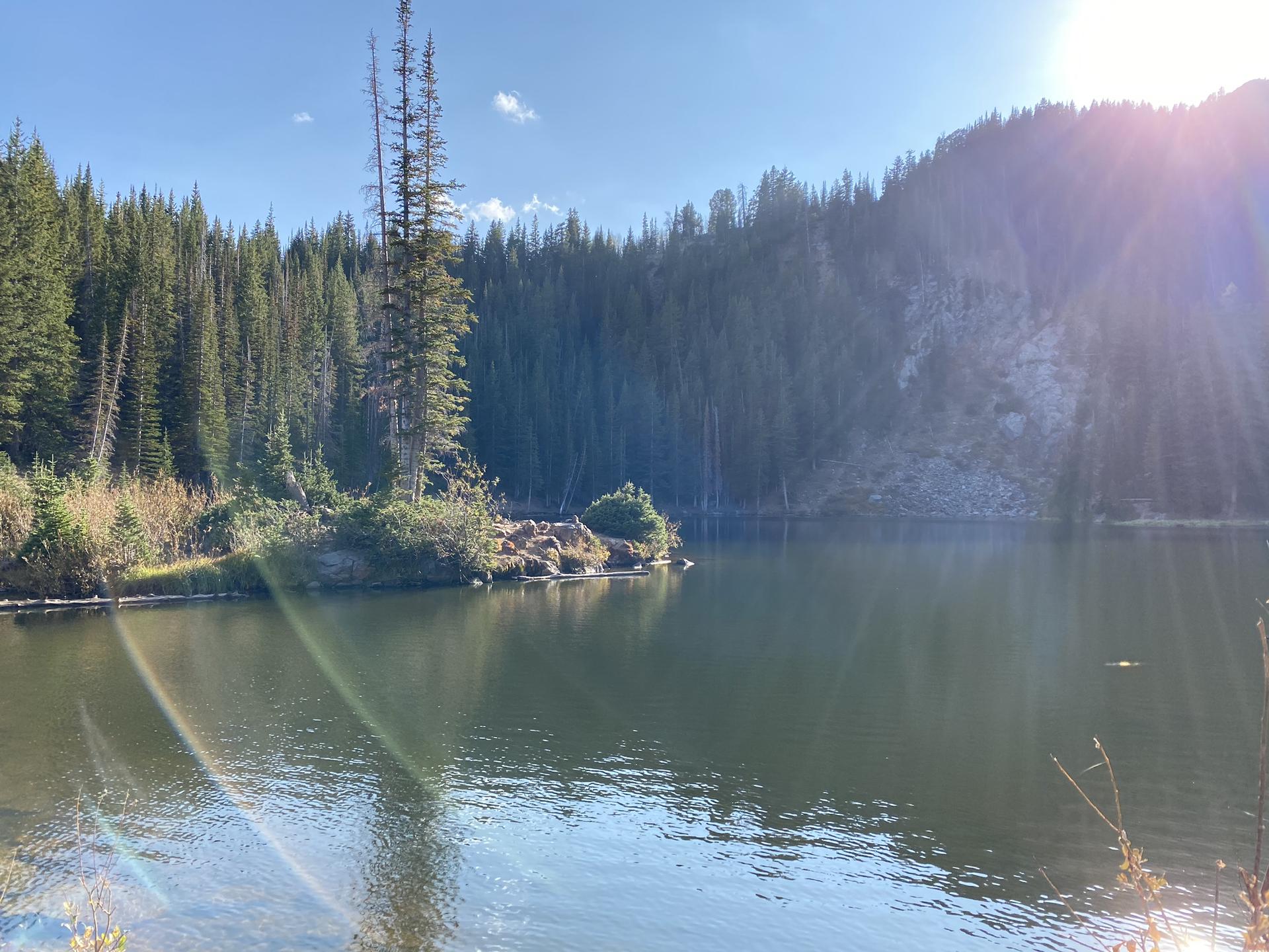 A calm lake reflecting sunlight, bordered by a forested hillside with sun flare.