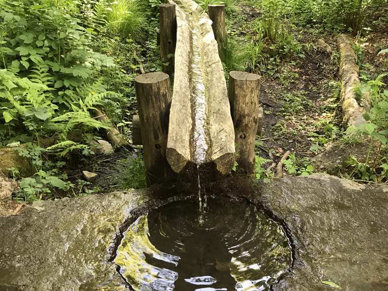 Siegquelle Wanderungen und Rundwege komoot