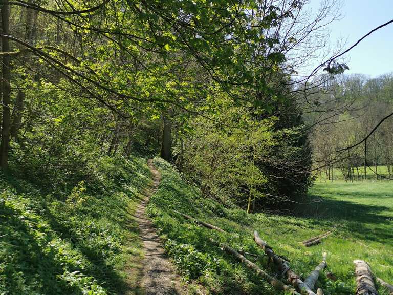 Schöner Wanderweg am Ufer der Bühler - Vellberg ...