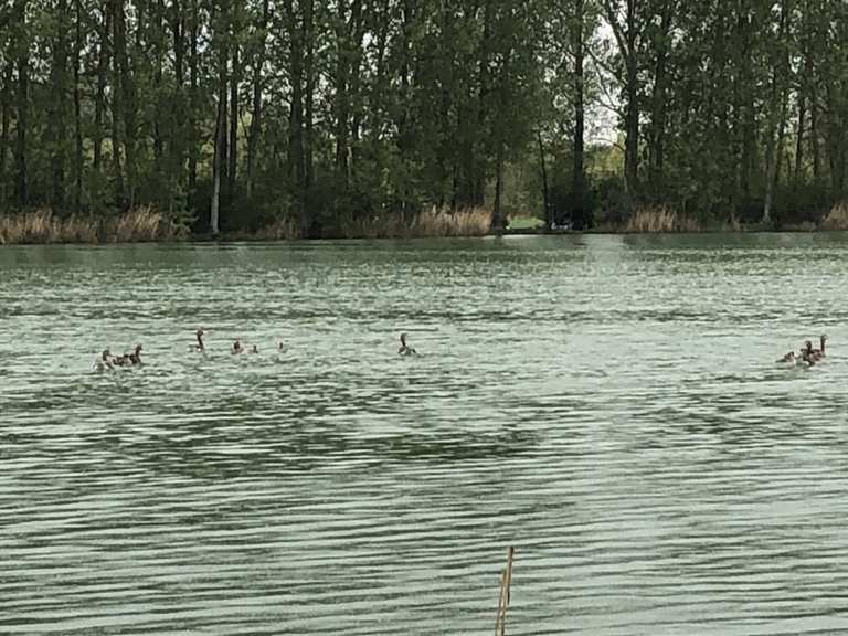 Herbslebener Teiche Wanderungen und Rundwege komoot