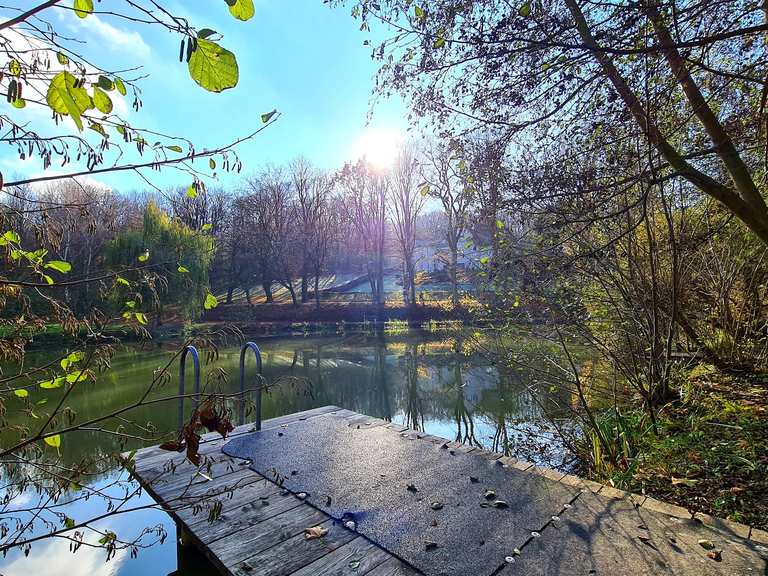 Waldteich Würnitz Routes for Walking and Hiking Komoot