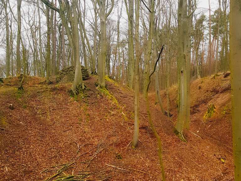 Ruine Altschauerberg Wanderungen und Rundwege komoot