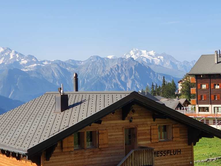 Bettmeralp - Riederalp, Östlich Raron | Wanderweg | Komoot
