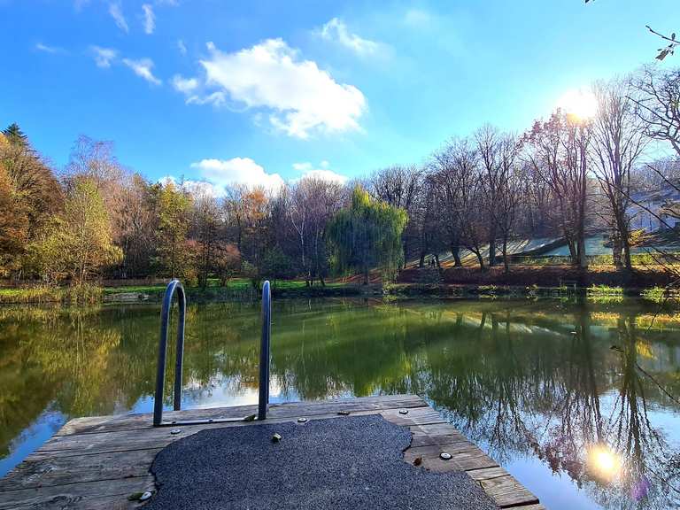 Waldteich Würnitz Routes for Walking and Hiking Komoot