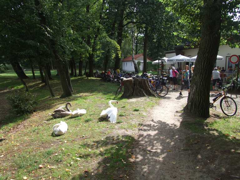 Körbaer Teich Cycle Routes and Map Komoot