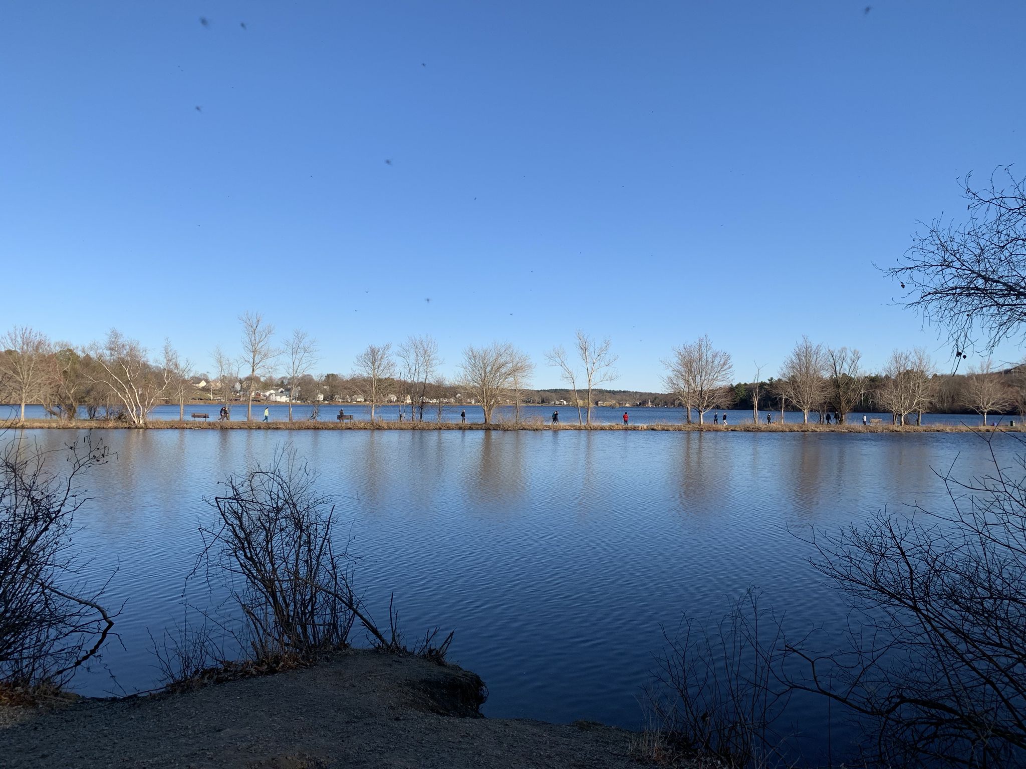 Wide lake under clear blue sky, people walking on distant shore. - Tri-Community Greenway and Horn Pond Loop