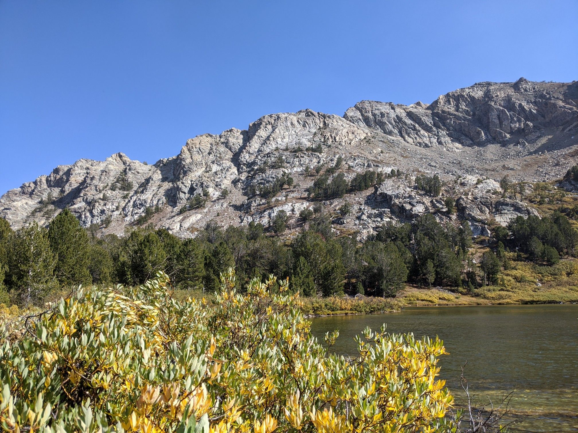 Sunny mountain lake with rocky peaks, green trees, and yellow foreground foliage. - Castle Lake Loop