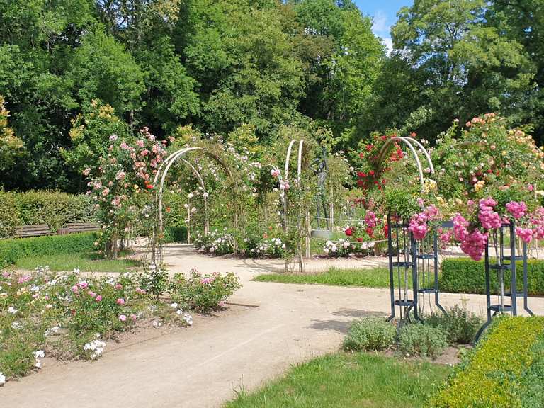 Rosengarten im Stadtpark - Cycle Routes and Map | Komoot