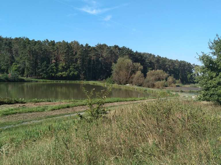 Teiche bei Rohensaas Wanderungen und Rundwege komoot