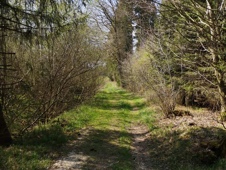 Marzellus Garten Oberes Tor Weißenhorn Runde von