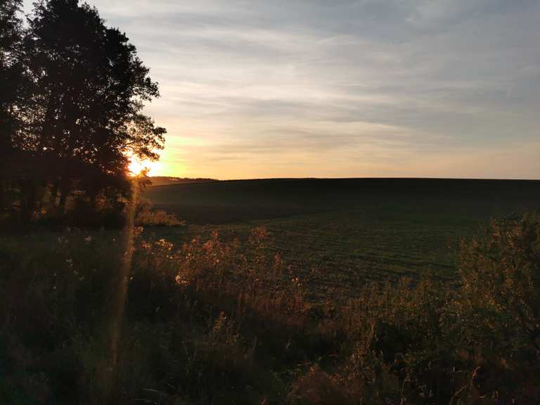 Grünkern Radweg, bei Walldürn.. : Radtouren und Radwege | komoot