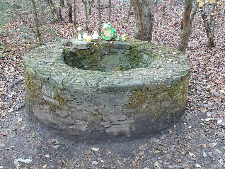 FroschkönigBrunnen Wanderungen und Rundwege komoot