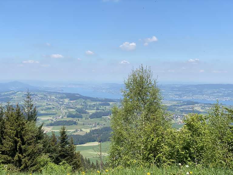 Gottschalkenberg Wanderungen und Rundwege komoot